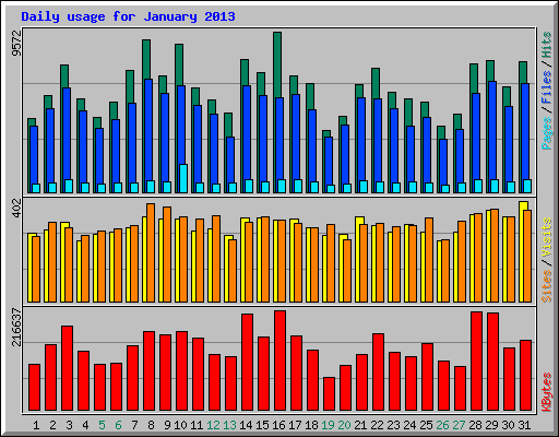 Daily usage for January 2013