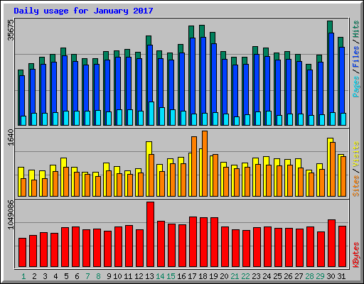 Daily usage for January 2017