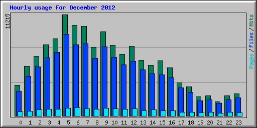 Hourly usage for December 2012