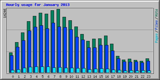 Hourly usage for January 2013