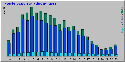 Hourly usage for February 2013