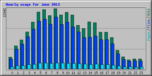 Hourly usage for June 2013