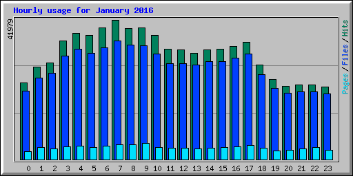 Hourly usage for January 2016