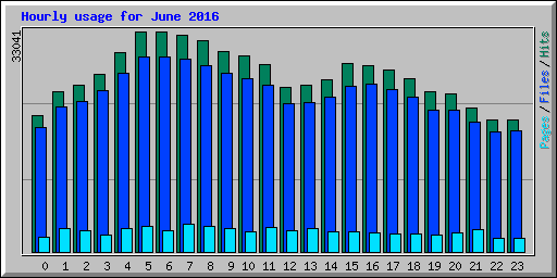 Hourly usage for June 2016