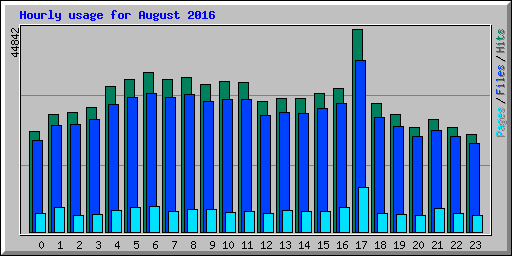 Hourly usage for August 2016