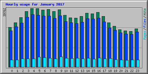 Hourly usage for January 2017